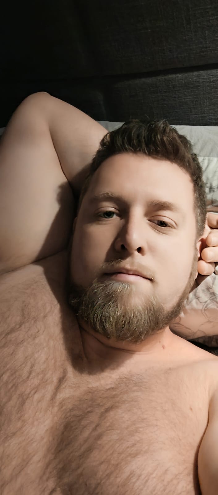 Profil de Alexi