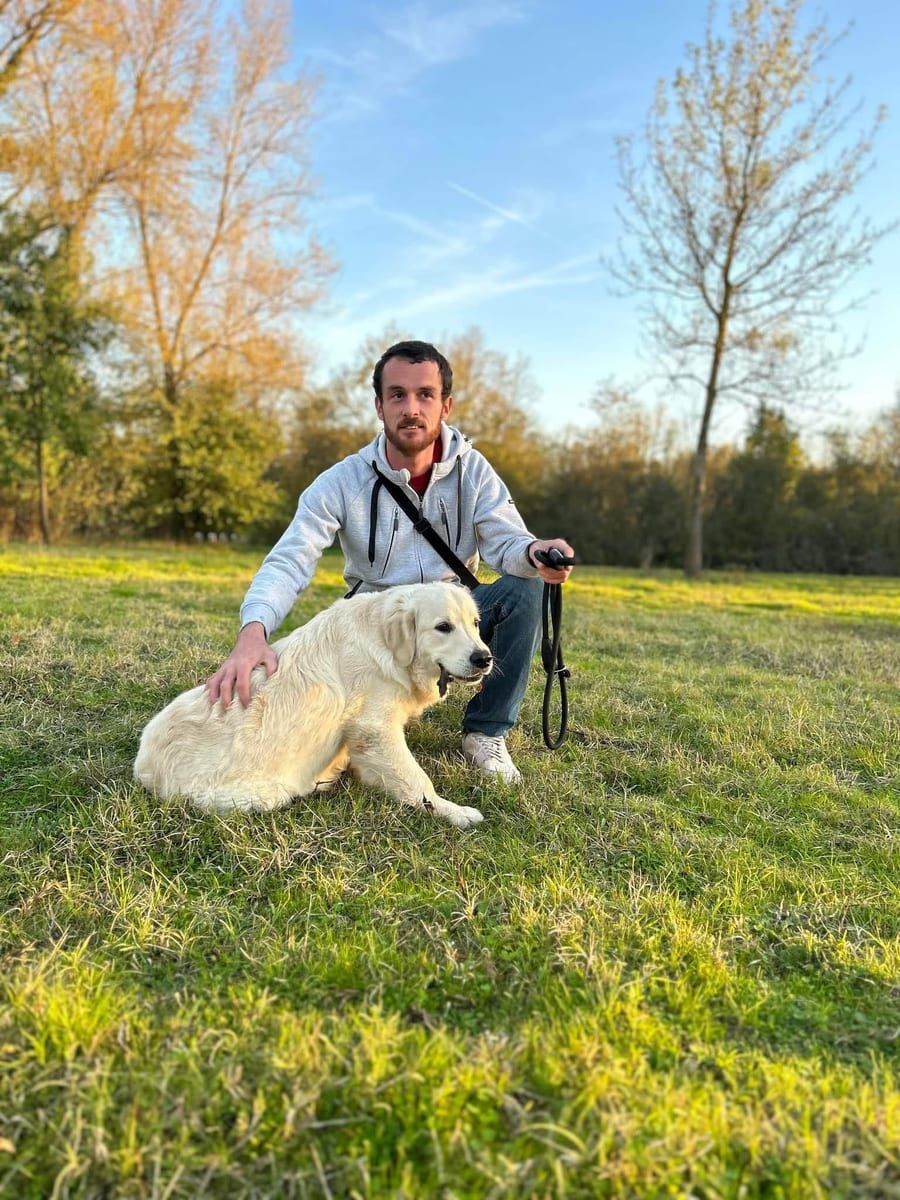 Profil de Balthazard